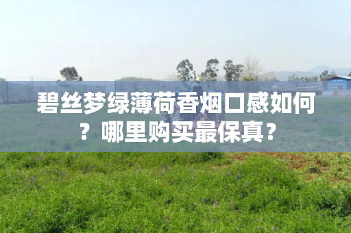 碧丝梦绿薄荷香烟口感如何？哪里购买最保真？